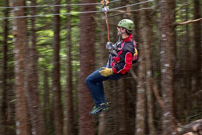 Grizzly Falls Ziplining Expedition - Final Thoughts: Who Is This Tour Perfect For?