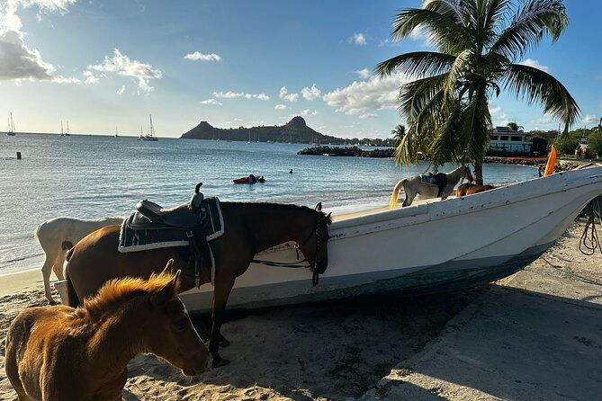 gros-islet-village-horseback-riding-run-with-dores-riding-stable
