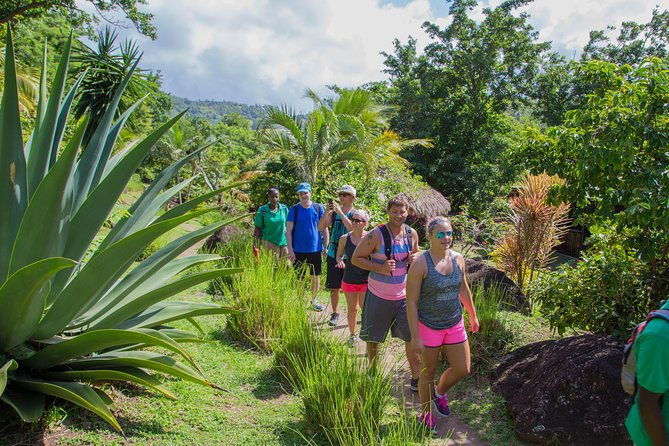 gros-piton-hike