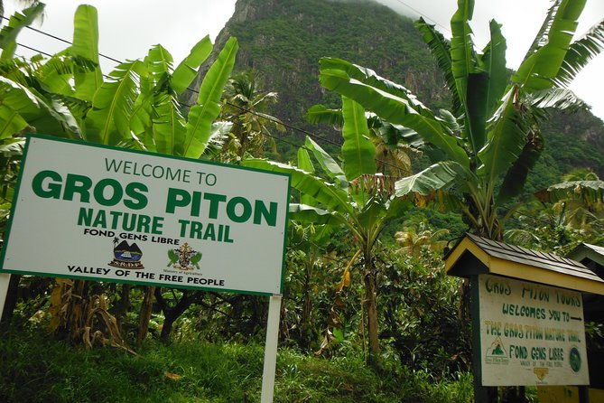 gros-piton-hike-with-dannyboy-co