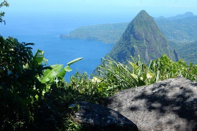 gros-piton-hike-with-dannyboy-co
