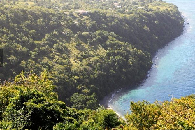 gros-piton-hike-with-dannyboy-co