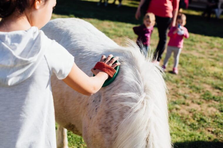grosseto-visit-the-family-farm-with-tasting-of-local-food