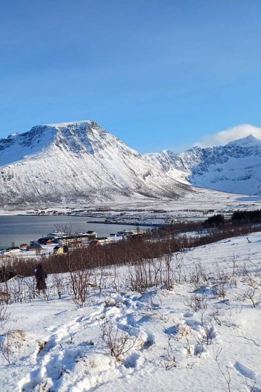 grotfjord-tromso-unique-arctic-scenic-route