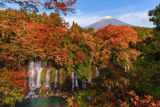 group-1-day-tour-of-mt-fuji-and-hakone-onsen-arts-and-nature