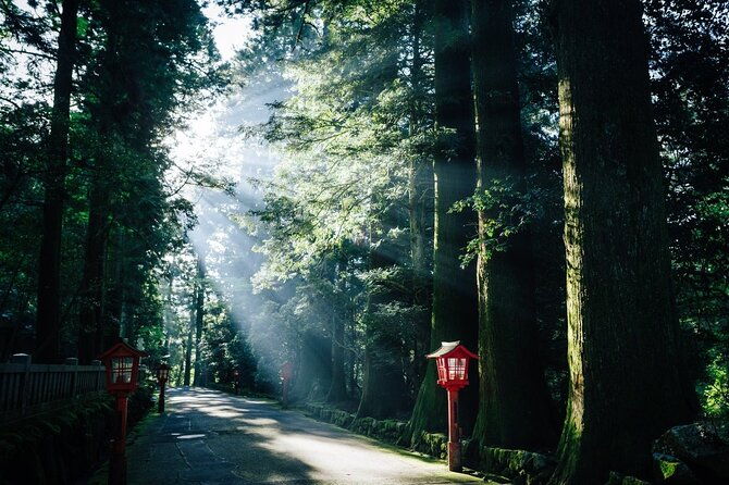 group-1-day-tour-of-mt-fuji-and-hakone-onsen-arts-and-nature