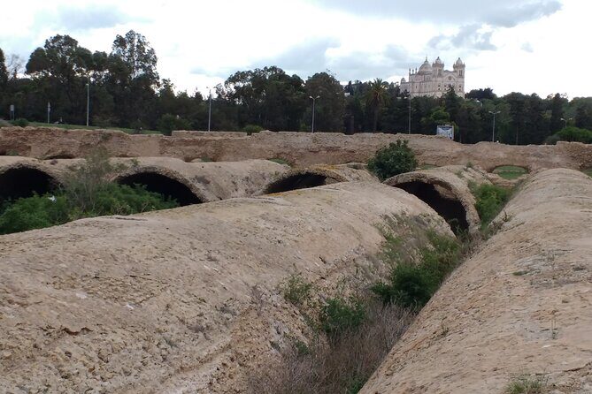 Group Guided Bike Tour of Carthage Archeological Site in Tunisia - Authentic Insights from Reviews