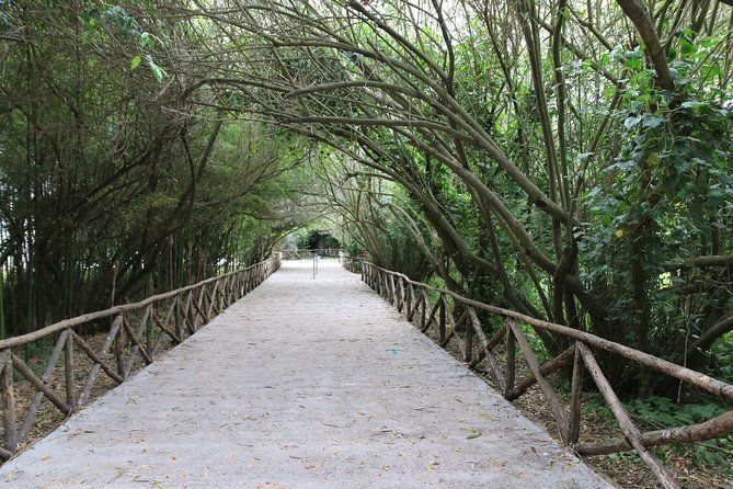 group-guided-tour-of-the-archaeological-park-of-neapolis