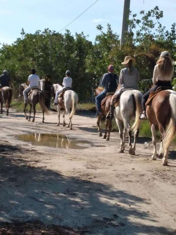 group-horseback-ride-on-holbox-island-quintana-roo