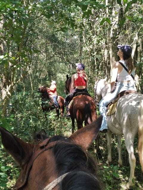 group-horseback-ride-on-holbox-island-quintana-roo