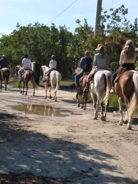group-horseback-ride-on-holbox-island-quintana-roo