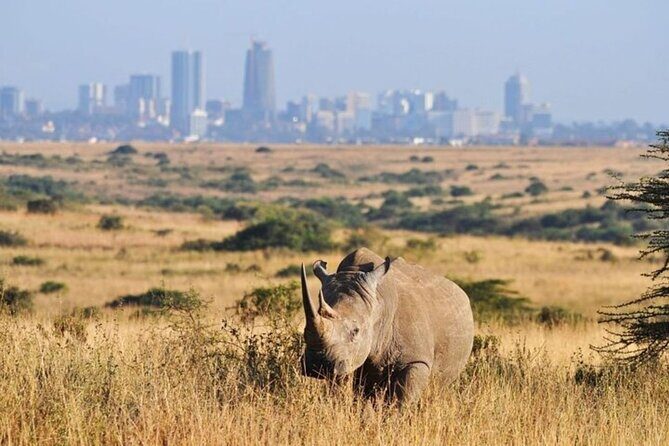 Group Joining Nairobi National Park and Giraffe Center - FAQ