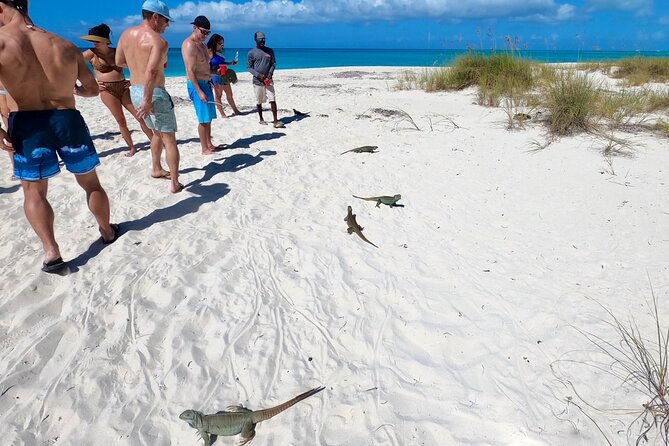 group-reef-beach-and-sandbar-tour-from-providenciales