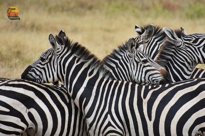 Group Safari 7 Days in Tanzania's Main Parks - Final Thoughts