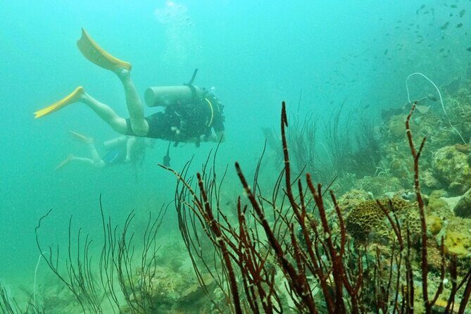 [GROUP] SCUBA DIVING for Certified Divers in Phu Quoc Island - Diving Sites and Safety