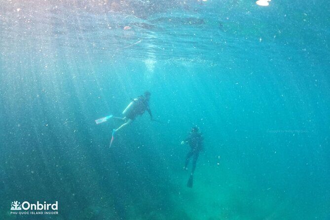 [GROUP] SCUBA DIVING for Certified Divers in Phu Quoc Island - Cost and Value