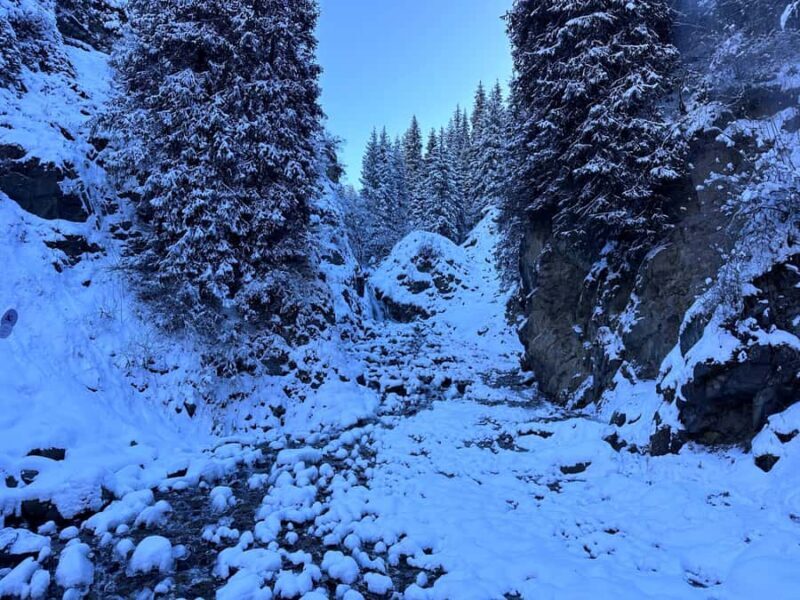 Group Tour: Big Almaty Gorge (Ayusai, Almarasan, Park) - Overview of the Tour Experience