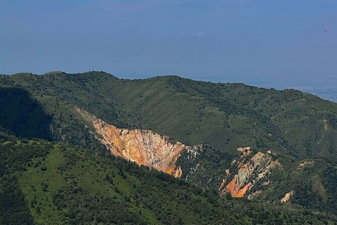 Group Tour: Big Almaty Gorge (Ayusai, Almarasan, Park) - What Do Reviewers Say?