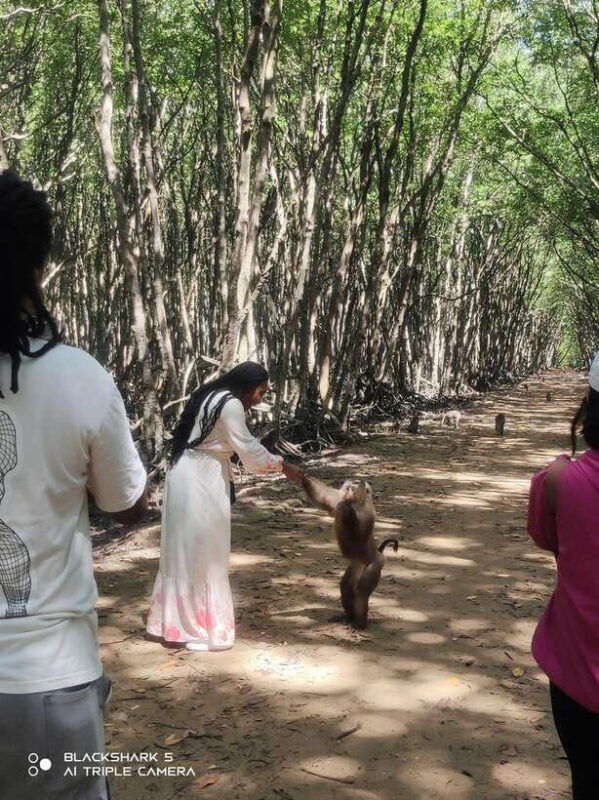 group-tour-can-gio-mangrove-forest-monkey-island-full-day