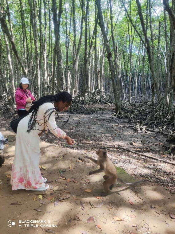 group-tour-can-gio-mangrove-forest-monkey-island-full-day