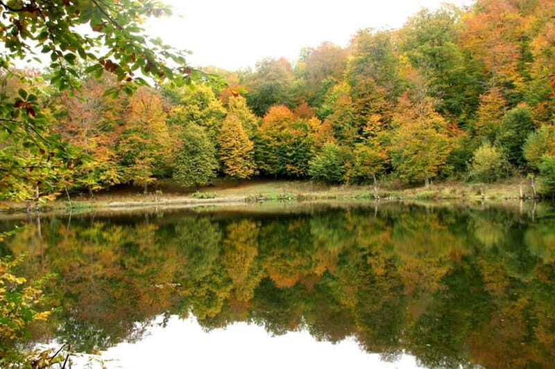 Group Tour: Dilijan, Parz Lake, Makaravank, wine factory - Discover Armenia’s Natural and Cultural Treasures in One Day