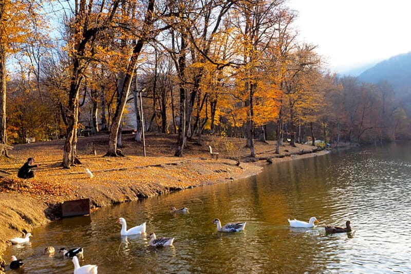 Group Tour: Dilijan, Parz Lake, Makaravank, wine factory - What Makes This Tour Stand Out?