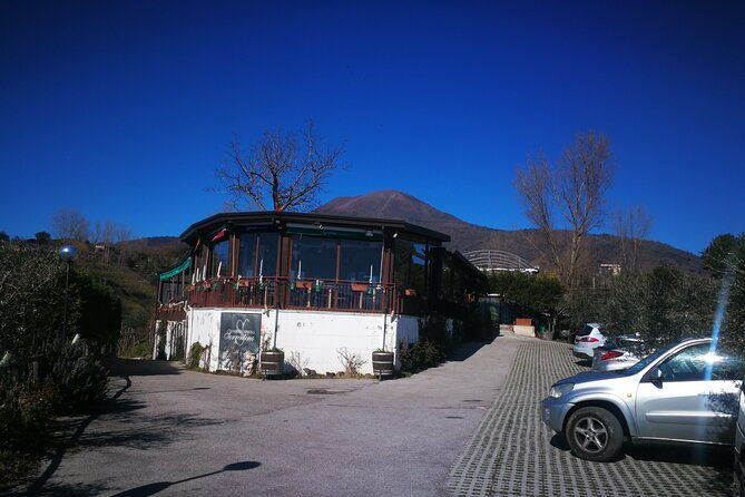 group-tour-for-wine-food-tasting-at-the-cantina-del-vesuvio