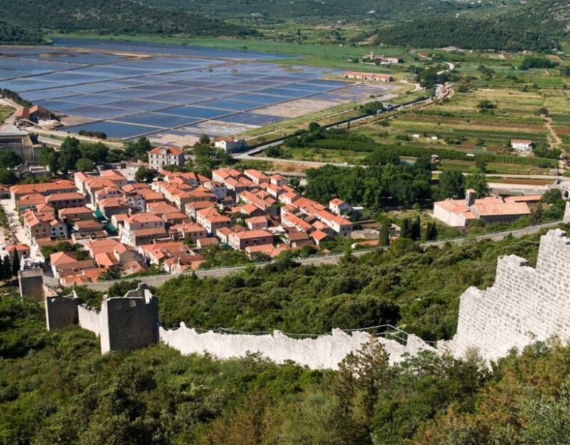 group-tour-from-dubrovnik-ston-and-peljesac-wineries-tour