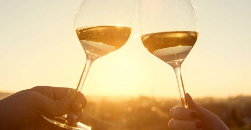 group-tour-from-dubrovnik-ston-and-peljesac-wineries-tour