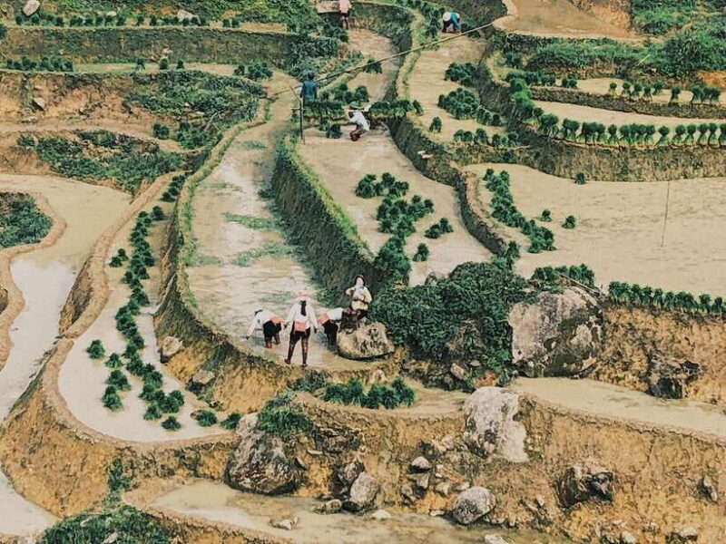 Group Tour - Visit All Highlights of Sapa in 1 Day - Transportation and Practical Details