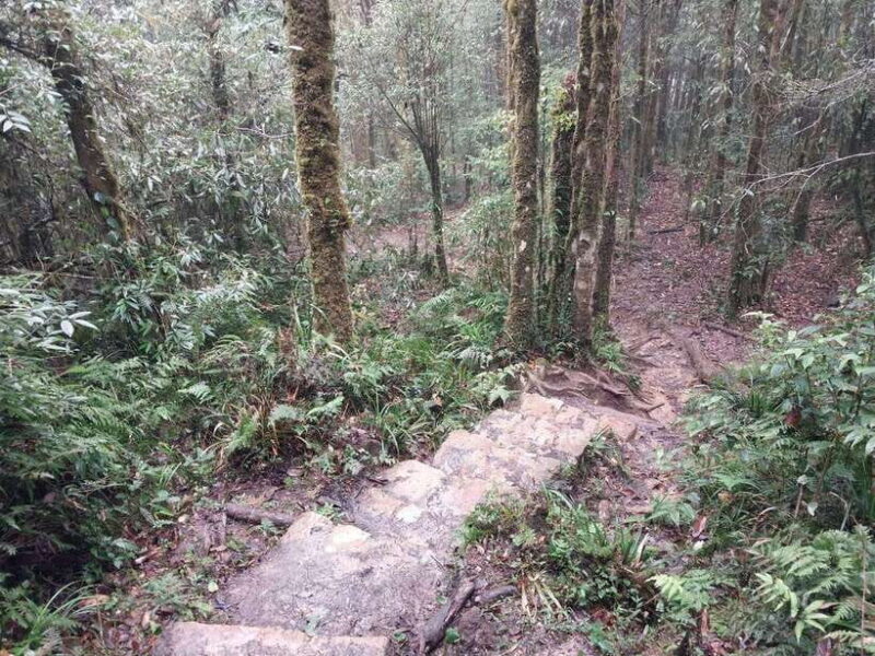 Group Tour - Visit All Highlights of Sapa in 1 Day - What We Loved About This Tour