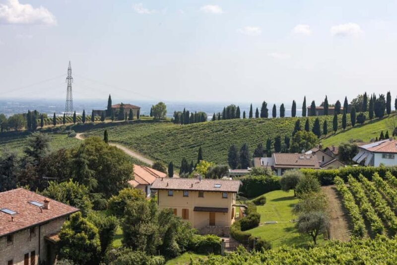 Grumello: Wine Tasting Tour at Historic Family Winery - Practical Details and What to Expect