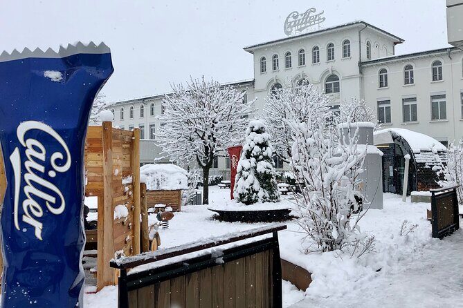 Gruyère Cheese and Chocolate Tasting Day Trip from Geneva - The Itinerary in Detail