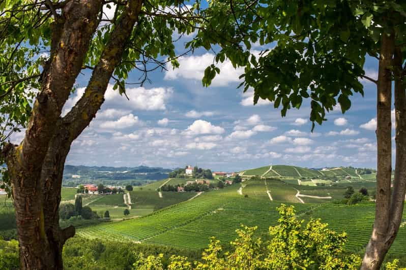 Gruyere village - Authentic Insights from Past Travelers