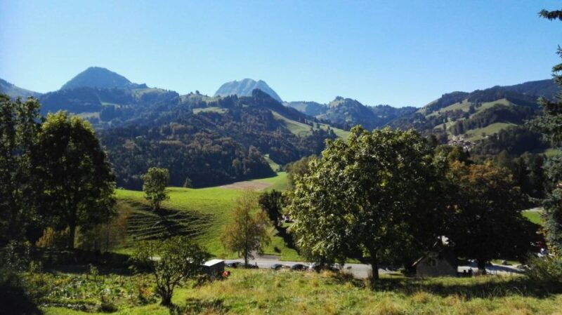 Gruyères, Cheese and Chocolate: Private Guided Tour - Final Thoughts