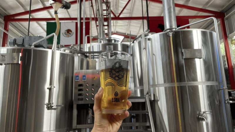 guadalajara-arquitecture-and-brewery-tour