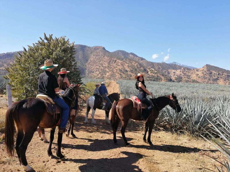 Guadalajara: Horse Riding on the Tequila Route with Tastings - Key Points
