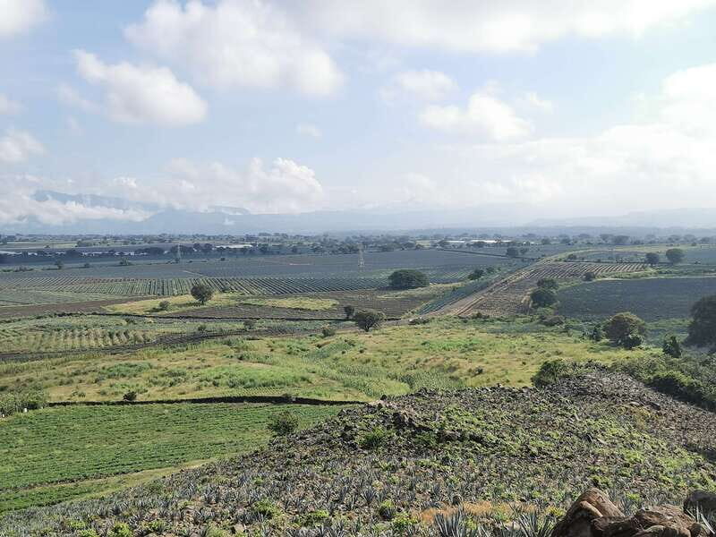 Guadalajara: Horse Riding on the Tequila Route with Tastings - Who Will Enjoy This Experience?
