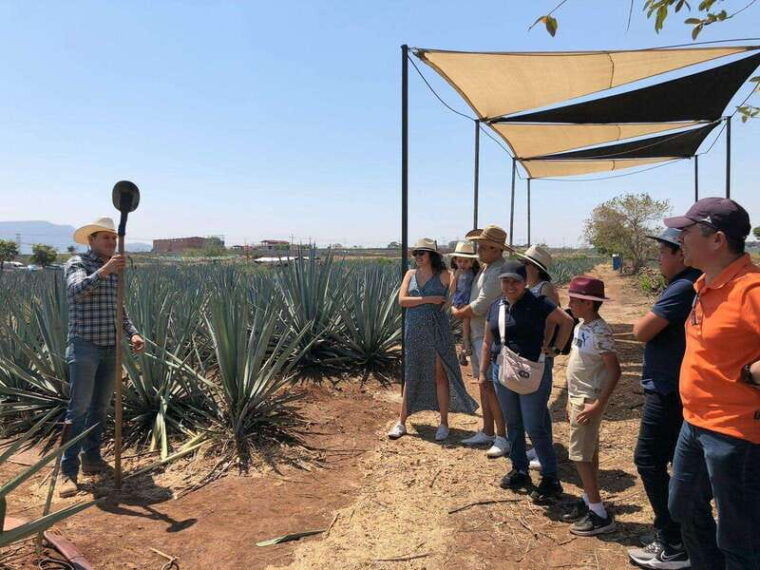 guadalajara-premium-tequila-tour-with-tastings-and-pairings