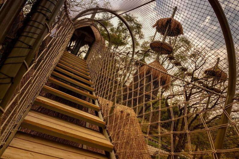 guadalajara-selva-magica-park-with-vippass