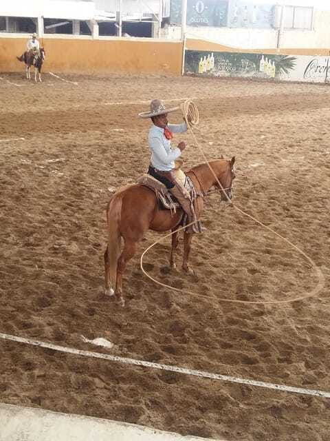 guadalajara-tour-and-charreria-competition-show