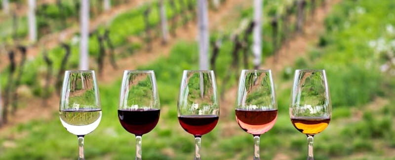 Guadalupe Valley: Complete Wine Route - An Honest Review of the Guadalupe Valley Wine Tour