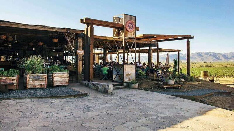 Guadalupe Valley: Complete Wine Route - Key Points