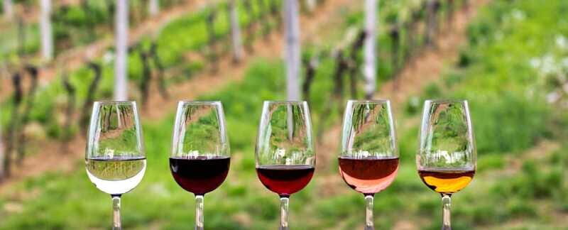 Guadalupe Valley: Complete Wine Route - Is This Tour Right for You?