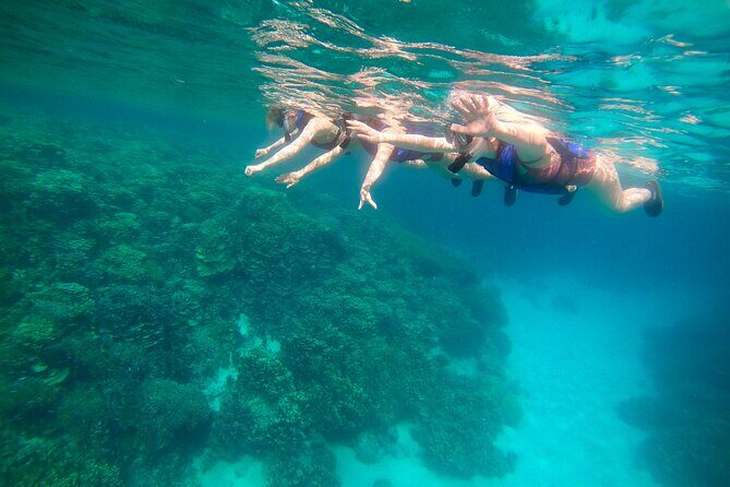 Guam's 5 Star Guided Snorkeling Tour! - What Makes This Tour Stand Out?