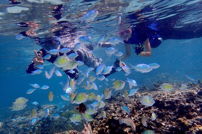 Guam's 5 Star Guided Snorkeling Tour! - FAQs