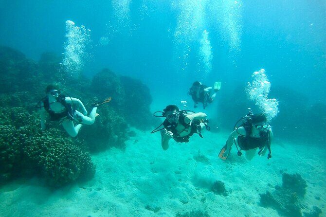 Guam's Best Beach Diving! Beginner and Advanced Dives - The Itinerary: What You Can Expect on the Day