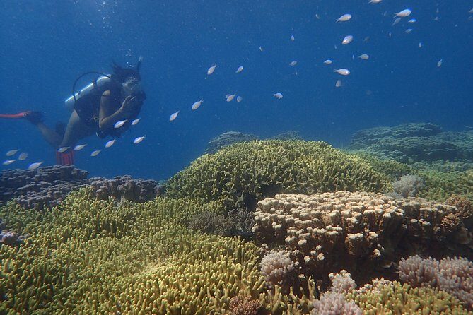 Guam's Best Beach Diving! Beginner and Advanced Dives - The Sum Up