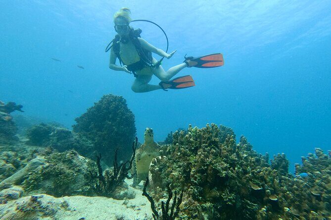 Guam's Best Beach Diving! Beginner and Advanced Dives - FAQ