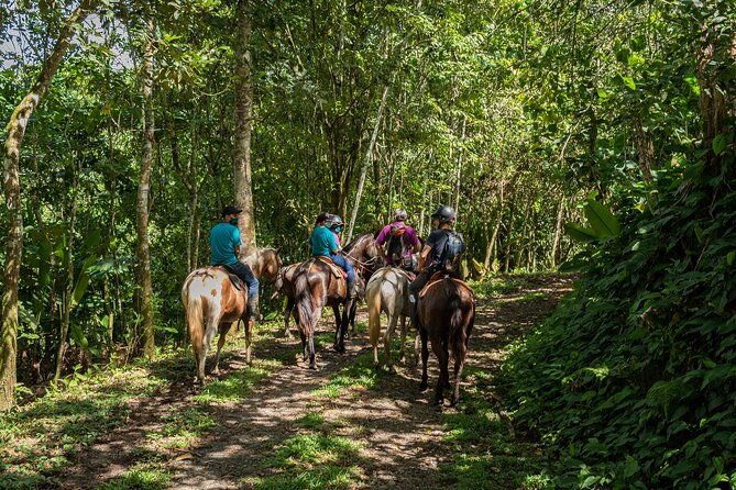 guanacaste-full-day-explore-nature-horse-sloth-and-waterfalls